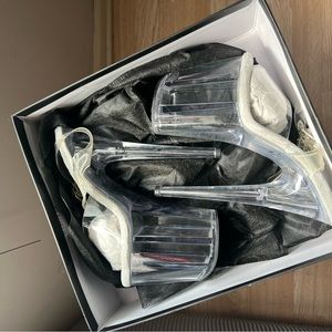 Pleaser size 6 Flamingo platform